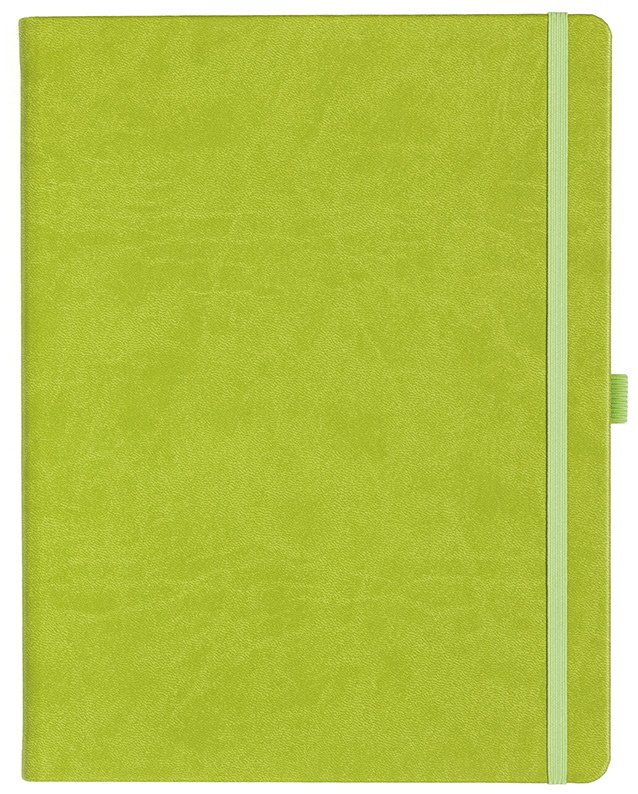 Notizbuch Style Large im Format 19x25cm, Inhalt blanco, Einband Slinky in der Farbe Lime