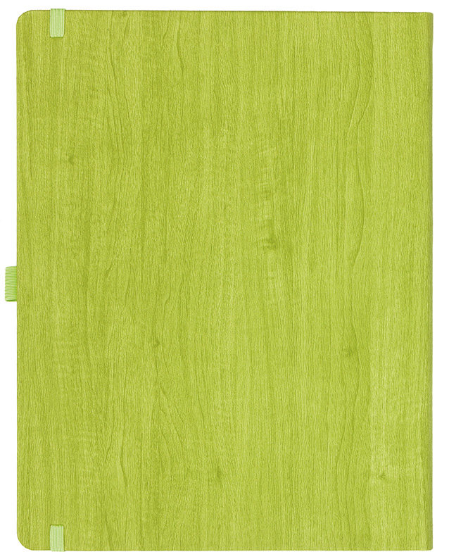 Notizbuch Style Large im Format 19x25cm, Inhalt kariert, Einband Woody in der Farbe Lime