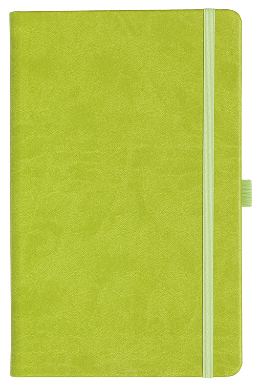 Notizbuch Style Medium im Format 13x21cm, Inhalt kariert, Einband Slinky in der Farbe Lime