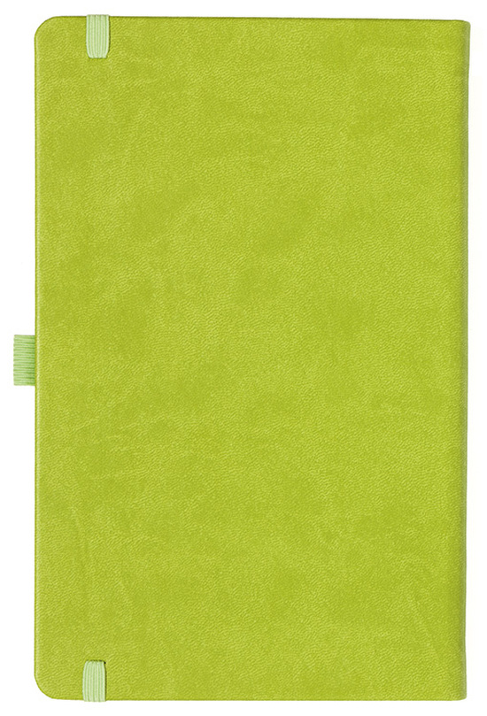 Notizbuch Style Medium im Format 13x21cm, Inhalt liniert, Einband Slinky in der Farbe Lime