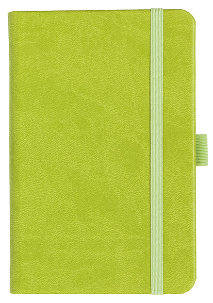 Notizbuch Style Small im Format 9x14cm, Inhalt kariert, Einband Slinky in der Farbe Lime