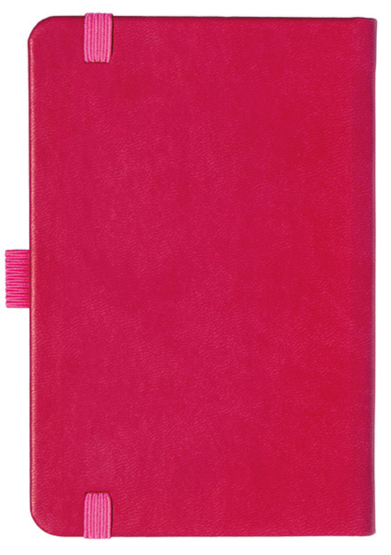 Notizbuch Style Small im Format 9x14cm, Inhalt kariert, Einband Slinky in der Farbe Pink