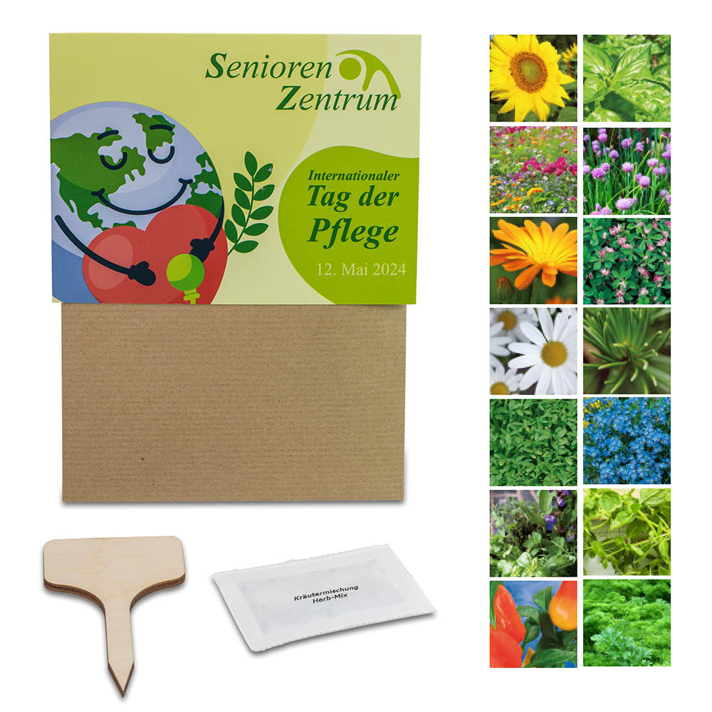 Pflanz-Set - 3er-Set - Sonnenblume / Margerite / Ringelblume