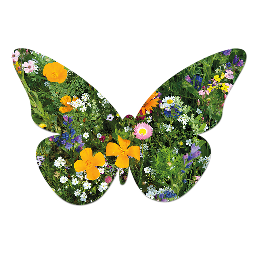 Samenpapier im Klappkärtchen - Schmetterling