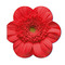 Samenpapier in Klappkärtchen Blume - Blümchen
