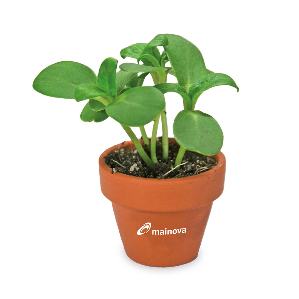 Tontöpfchen-Blume mit Samen - Ringelblume inkl. Tampondruck