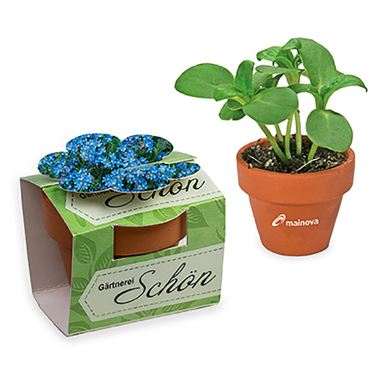 Tontöpfchen-Blume mit Samen - Vergissmeinnicht inkl. Tampondruck