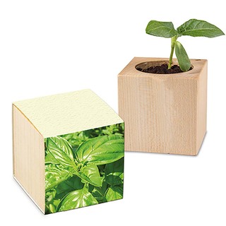 Pflanz-Holz mit Samen (Graspapier-Banderole) - Basilikum