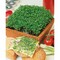 Pflanz-Holz mit Samen (Graspapier-Banderole) - Gartenkresse, 1 Seite gelasert