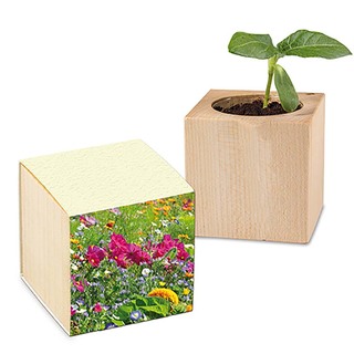 Pflanz-Holz mit Samen (Graspapier-Banderole) - Sommerblumenmischung, 1 Seite gelasert