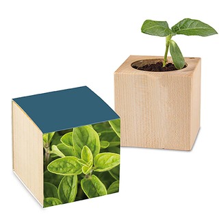 Pflanz-Holz mit Samen - Majoran, 1 Seite gelasert
