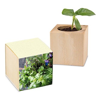 Pflanz-Holz mit Samen (Graspapier-Banderole) - Kräutermischung, 2 Seiten gelasert