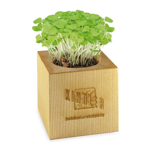 Pflanz-Holz Maxi mit Samen - Ringelblume