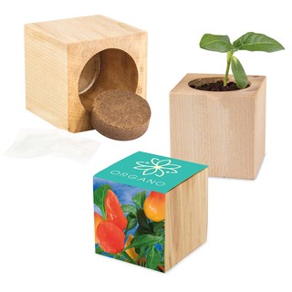 Pflanz-Holz Maxi mit Samen - Gewürzpaprika, 1 Seite gelasert