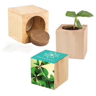 Pflanz-Holz Maxi mit Samen - Glücksklee-Zwiebel, 1 Seite gelasert (* Je nach Verfügbarkeit der Glücksklee-Zwiebeln)