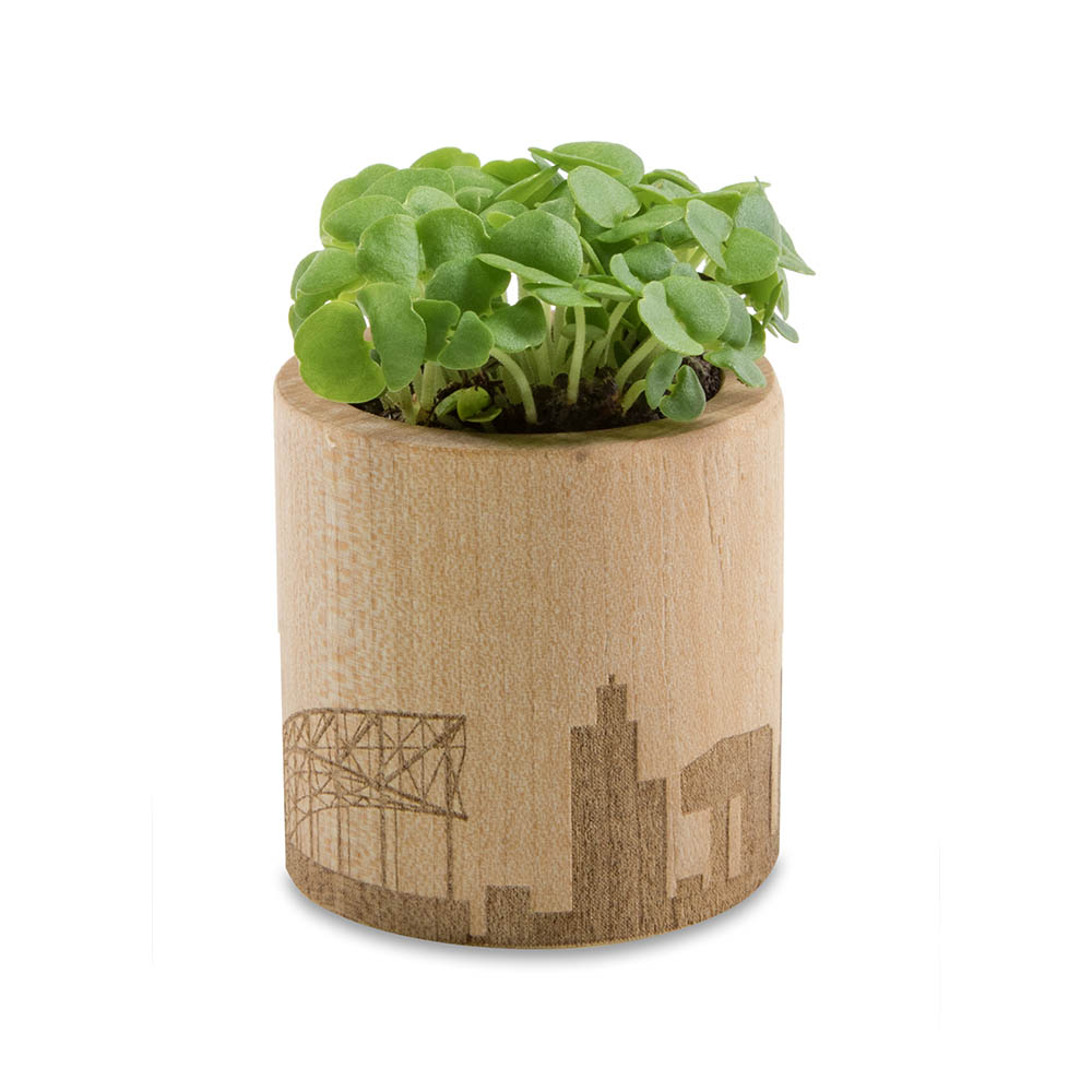 Pflanz-Holz rund mit Samen - Gartenkresse, Rundum-Lasergravur