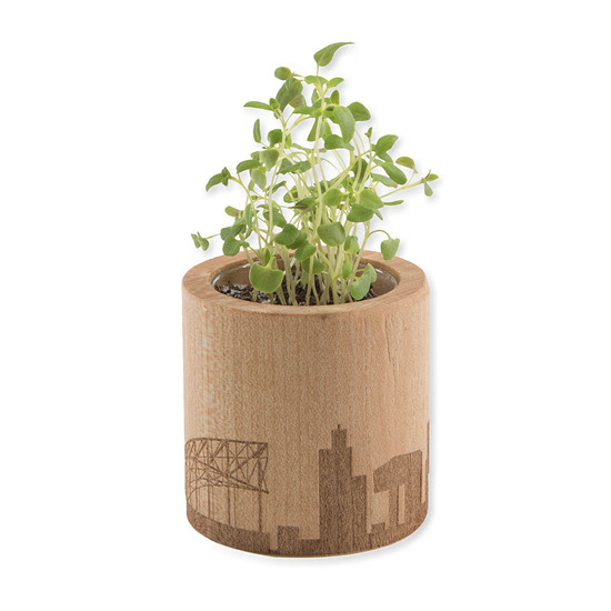 Pflanz-Holz rund mit Samen - Gartenkresse, Rundum-Lasergravur