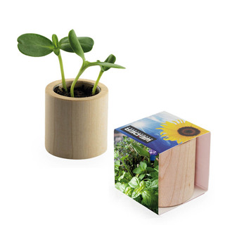 Pflanz-Holz rund mit Samen - Kräutermischung, Rundum-Lasergravur