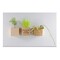 Pflanz-Holz Magnet mit Samen - Ringelblume, 2 Seiten gelasert