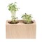 Pflanz-Holz 2er Set mit Samen - Fichte
