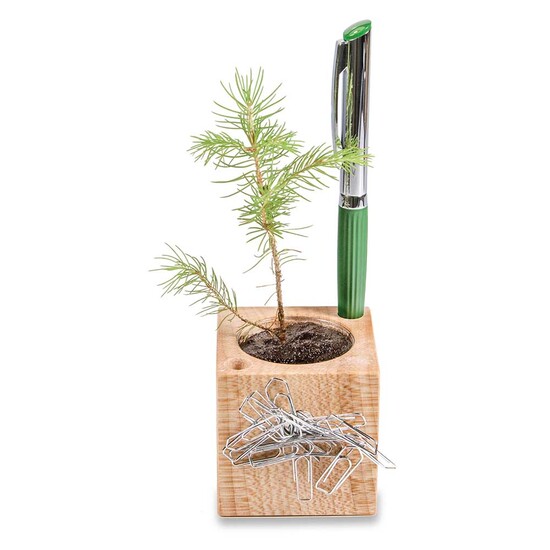 Pflanz-Holz Büro mit Samen - Sommerblumenmischung