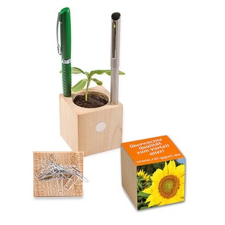 Pflanz-Holz Büro mit Samen - Sonnenblume
