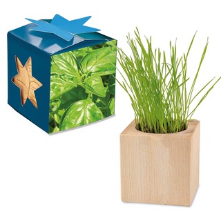 Pflanz-Holz Maxi Star-Box mit Samen - Basilikum, 1 Seite gelasert
