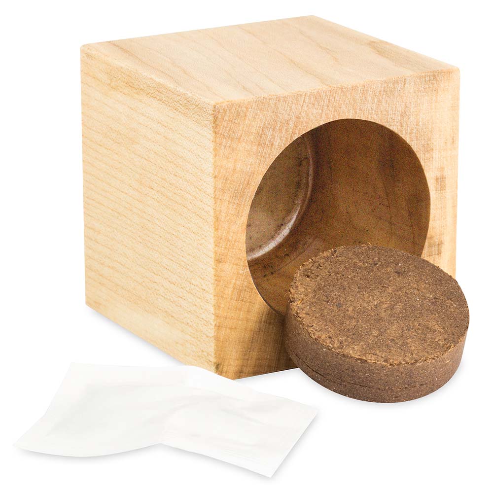 Pflanz-Holz Maxi Star-Box mit Samen - Persischer Klee, 2 Seiten gelasert