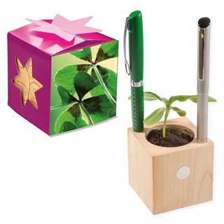 Pflanz-Holz Büro Star-Box mit Samen - Glücksklee-Zwiebel (* Je nach Verfügbarkeit der Glücksklee-Zwiebeln)