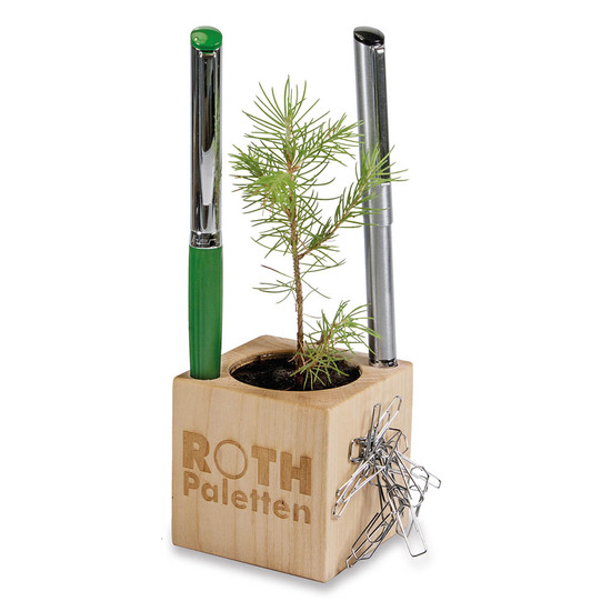 Pflanz-Holz Büro Star-Box mit Samen - Ringelblume, 2 Seiten gelasert