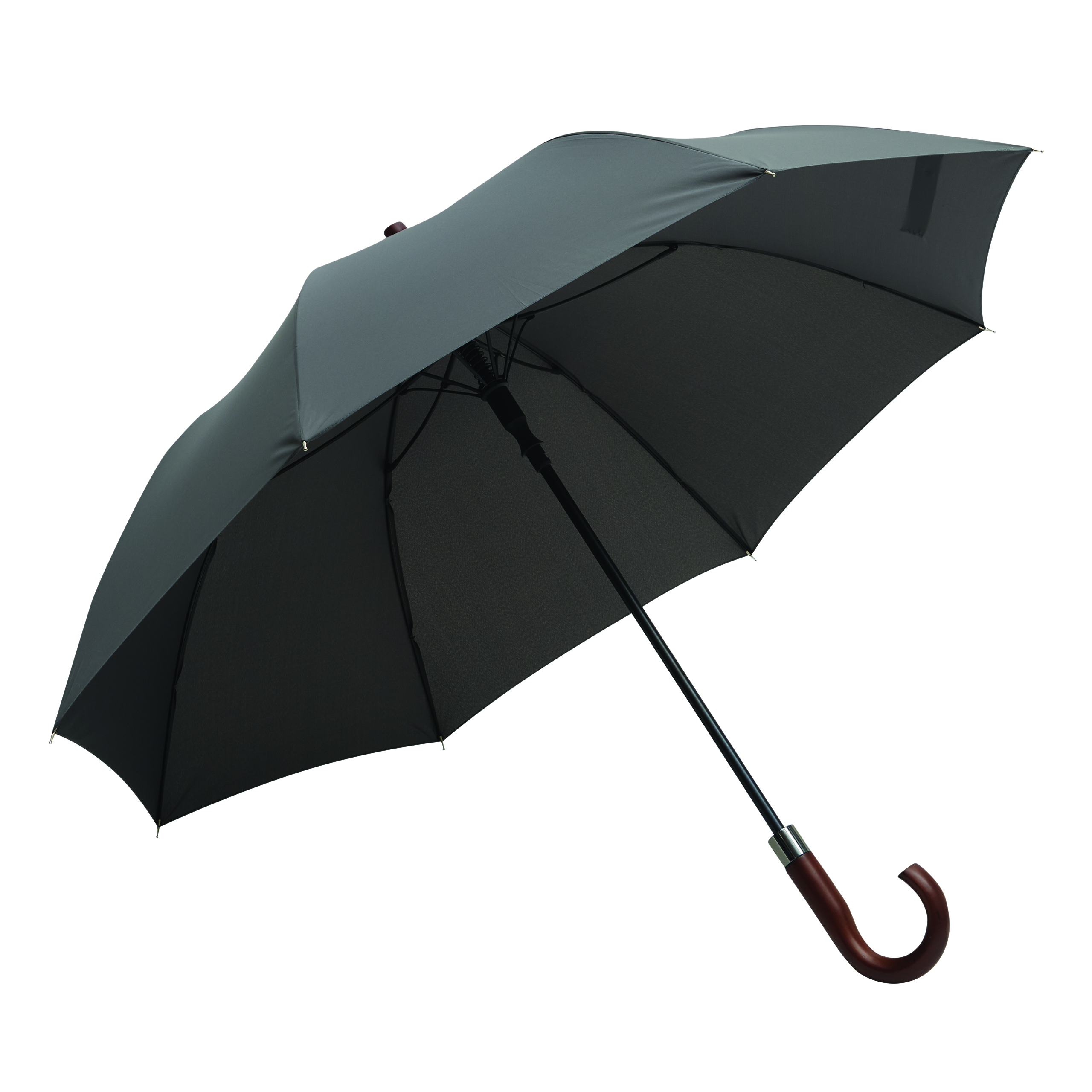 Automatik-Golfschirm EARL
