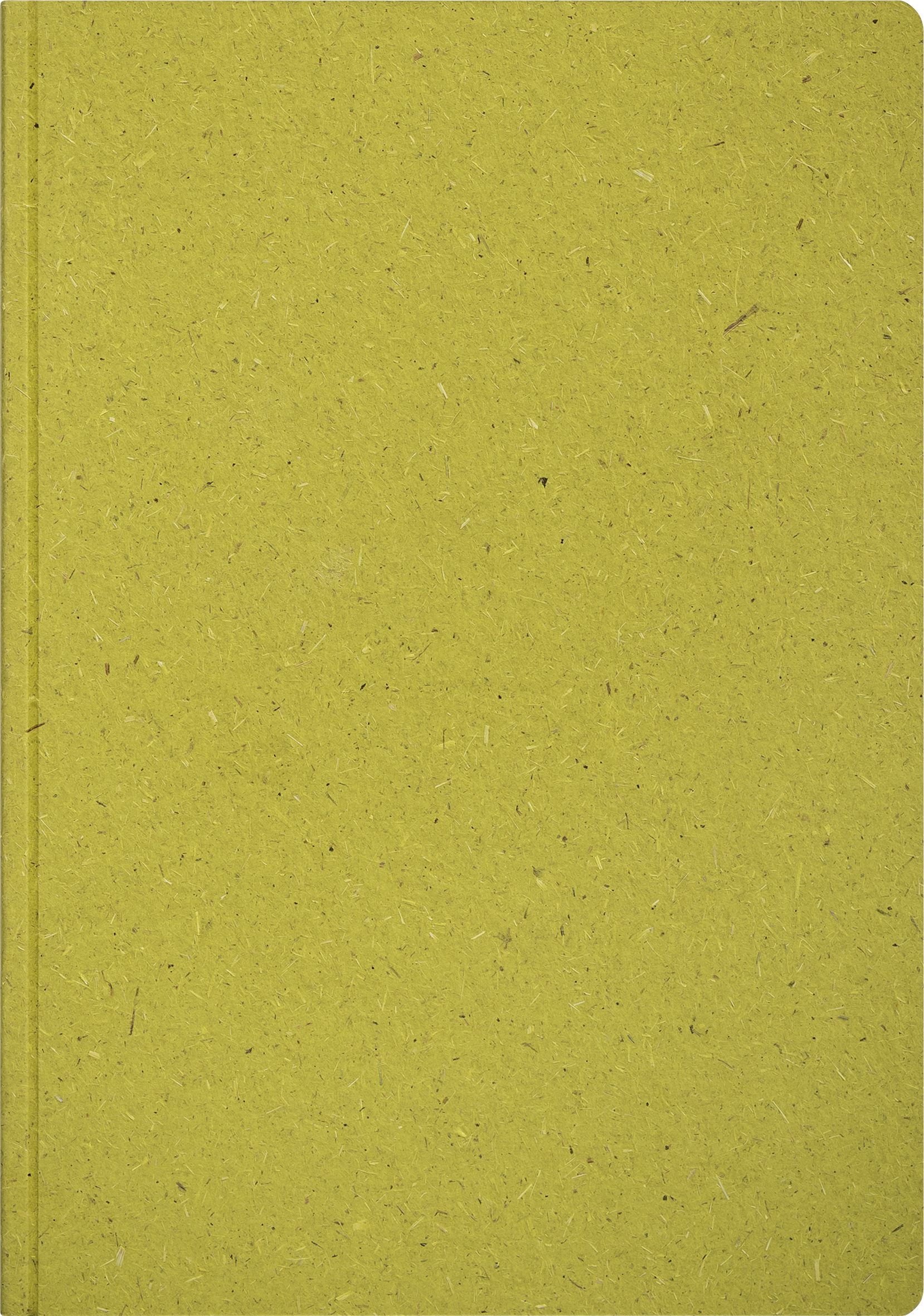 Notizheft Earth Tone A5, grün (moss), Naturpapier