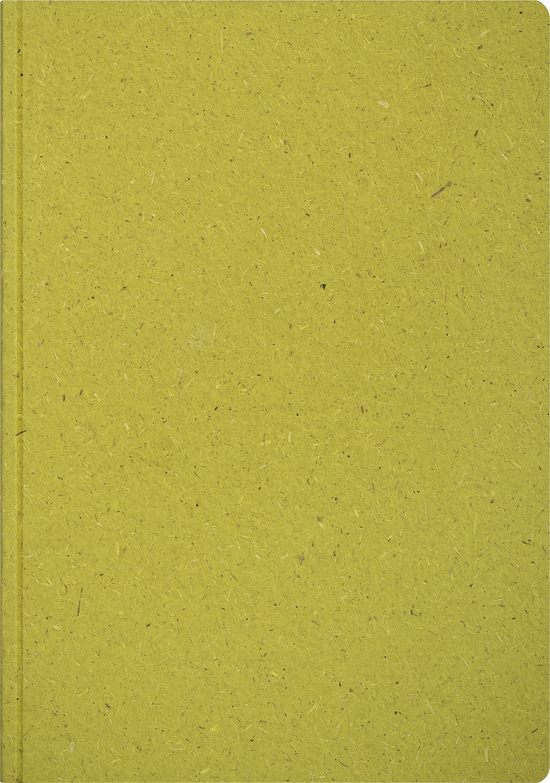Notizheft Earth Tone A5, grün (moss), Naturpapier