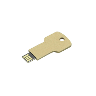 USB Stick Greencard key 4 GB